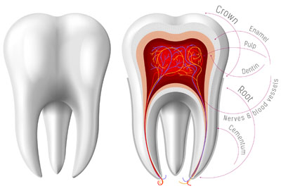 CEREC